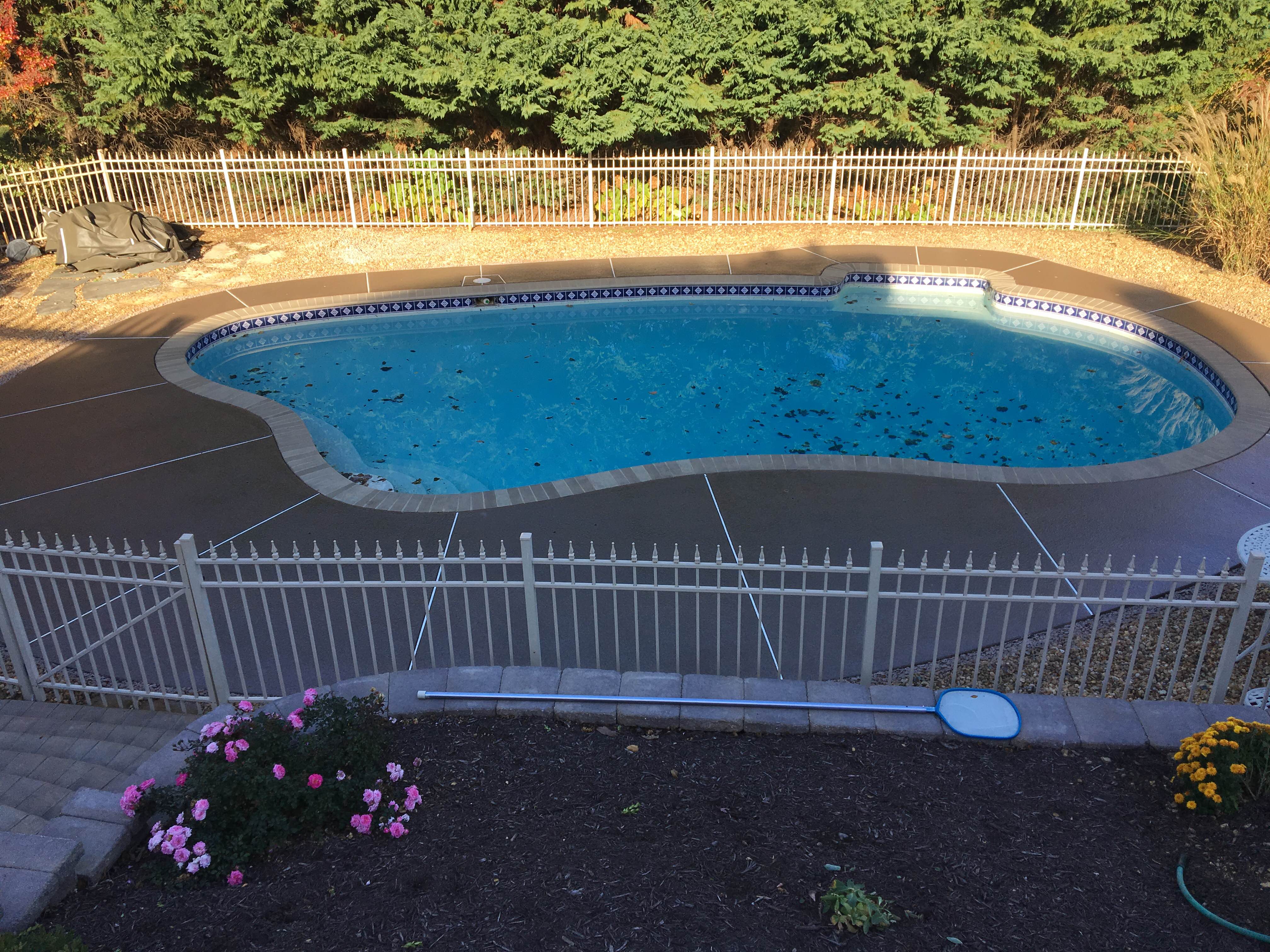 Custom Concrete Pool Deck in Northern Virginia | Designed and Installed by the Professionals at Blackwater Concrete